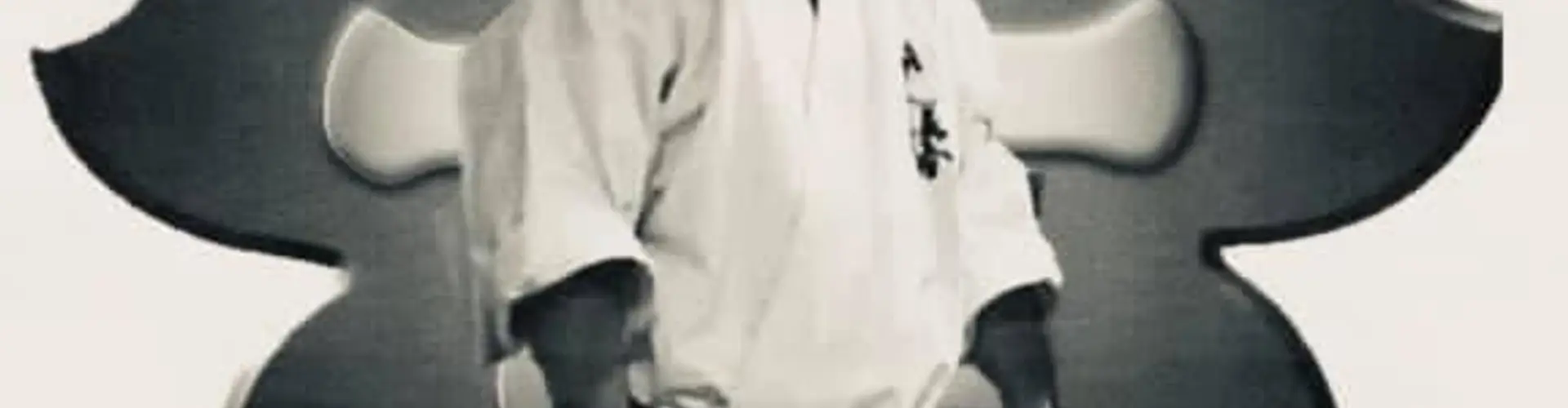SHIDOKAN & MULTI BOXE CHAMBERY
