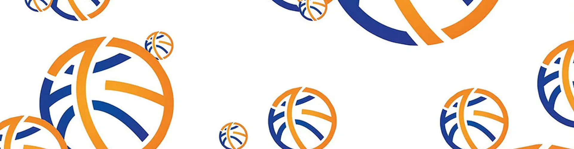 Comité 13 basket