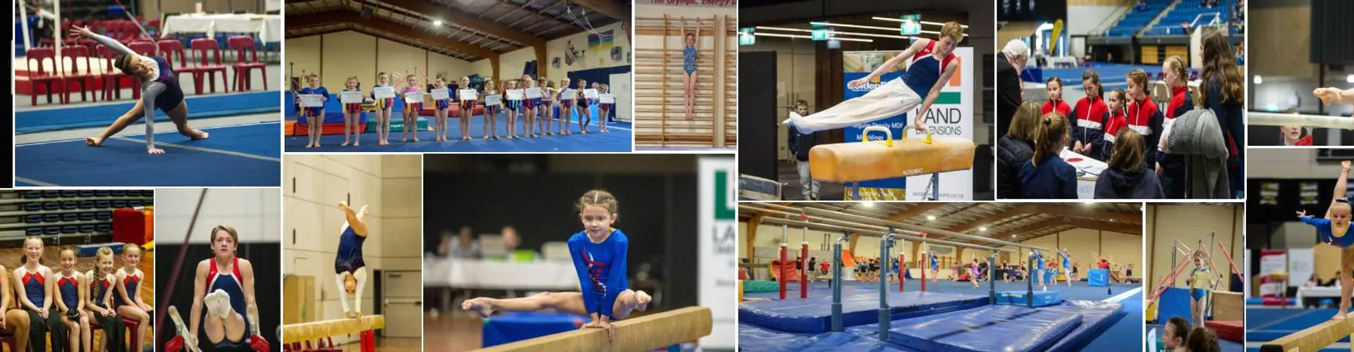 Gymnastics Nelson Inc