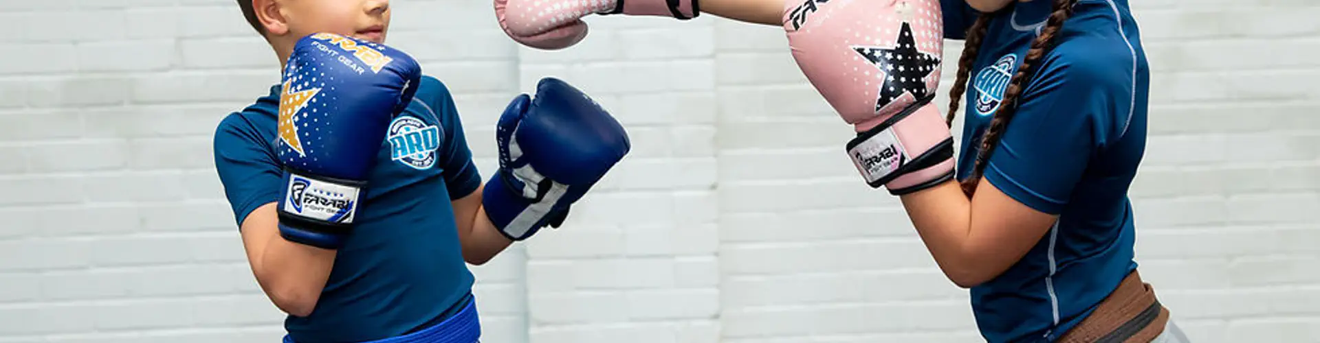 Alfie Davis Kickboxing Academy
