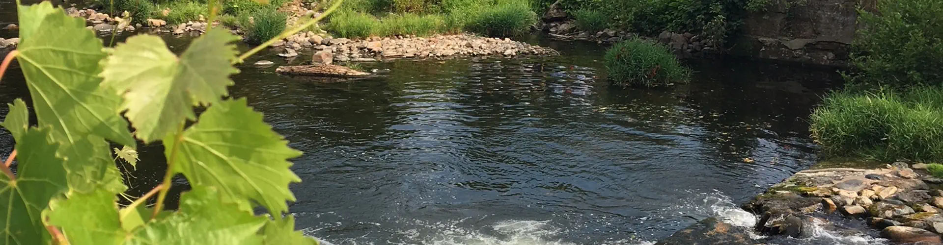 La drille au bord de l'eau : Salle de mariage atypique champêtre cérémonie laïque gîte scierie Alsace