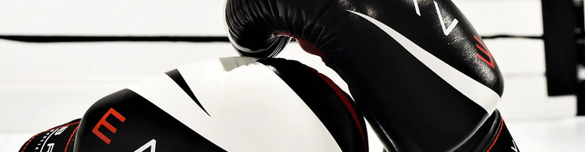 Brave Martial Arts Institute Inc.