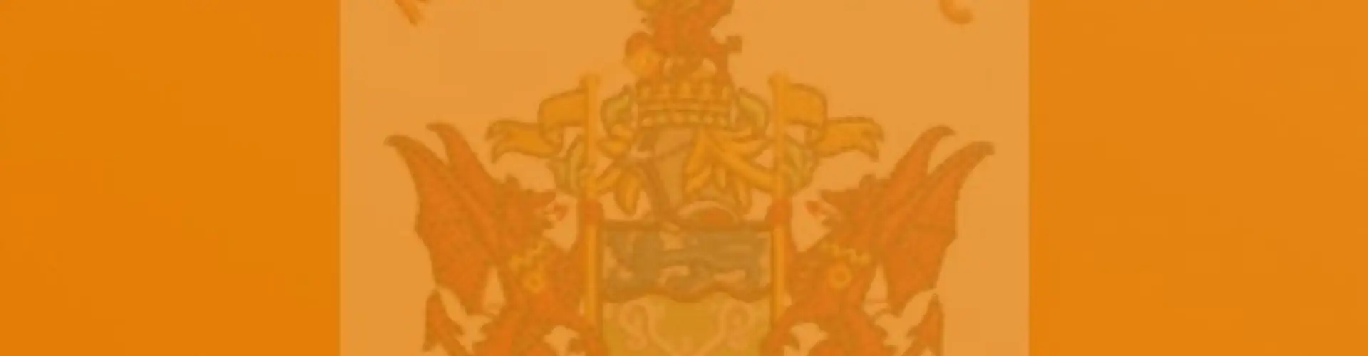 Maesgwyn FAC