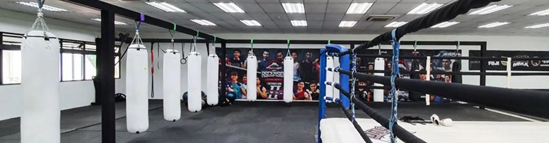 Onyx MMA