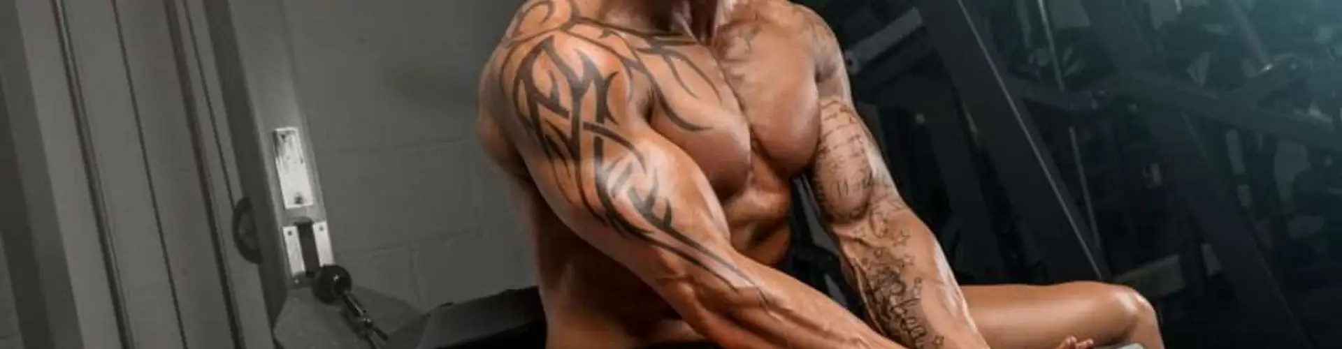 Shane Sull Fitness | Personal Trainer & Fitness Coach | Shane O'Sullivan