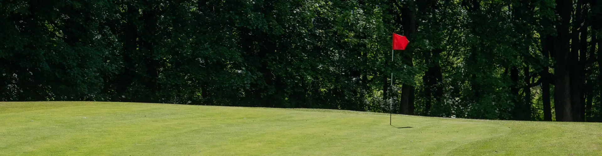 Crazy Golf at Haigh Woodland Park