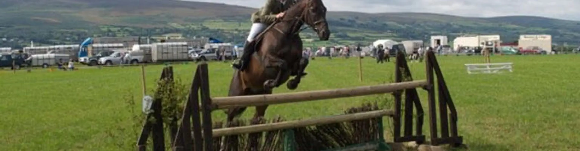 Crosswell Horse Agency