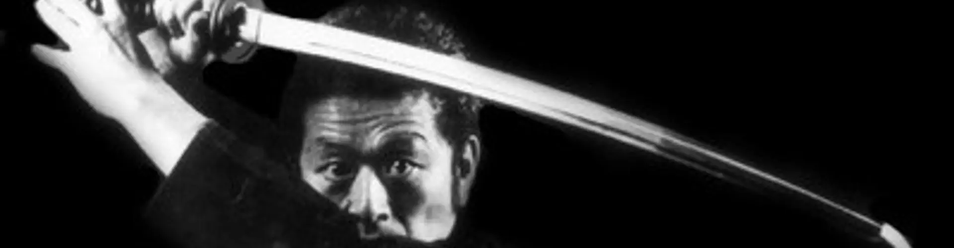 Bujinkan Jissen Dojos 