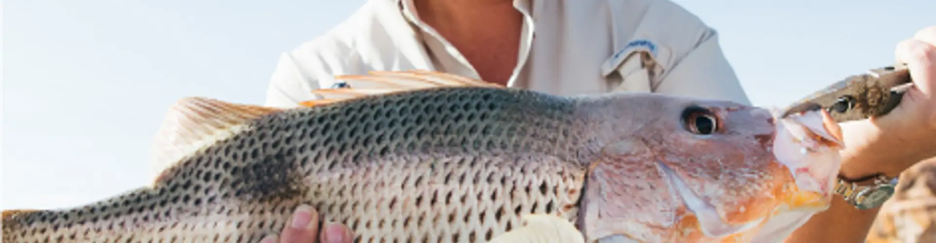 Ocean Dream Charters