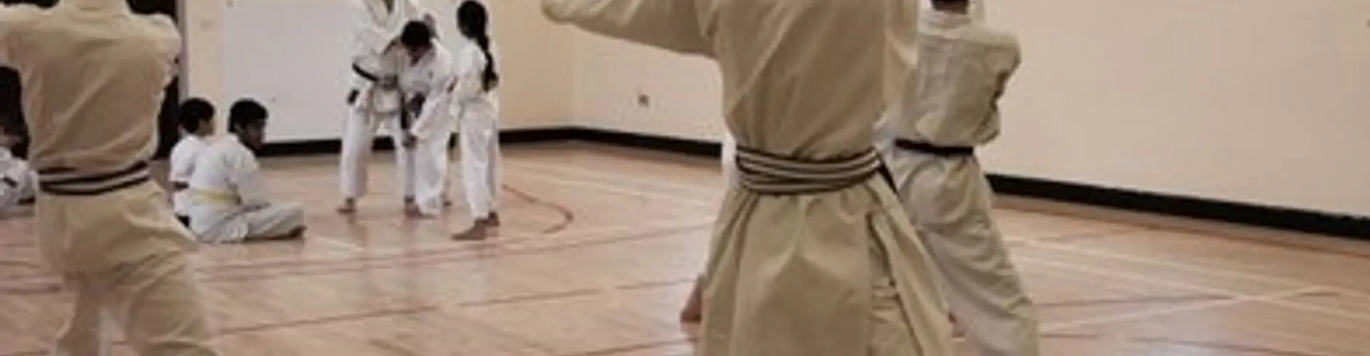 Shintai Karate
