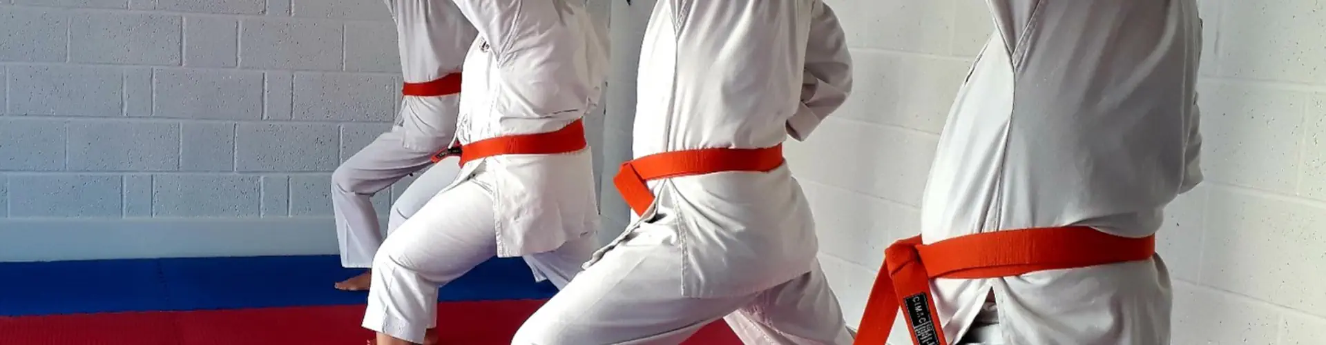 Okinawa Shotokan Karate Academy - Bexleyheath