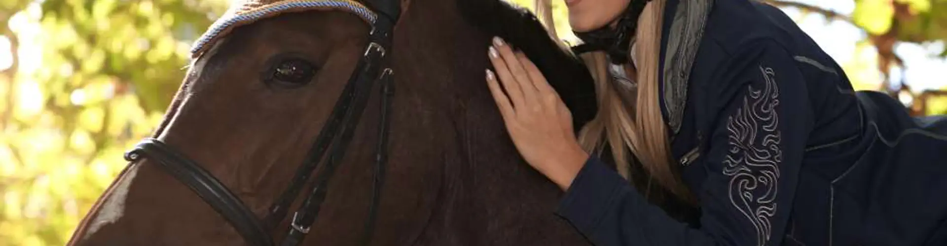 Bold Try Riding Stables