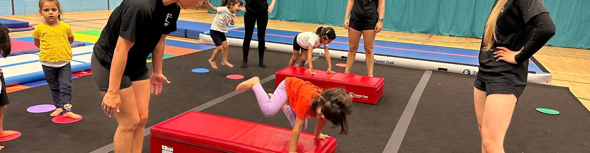 Good Life Gymnastics -Gymnastics Club