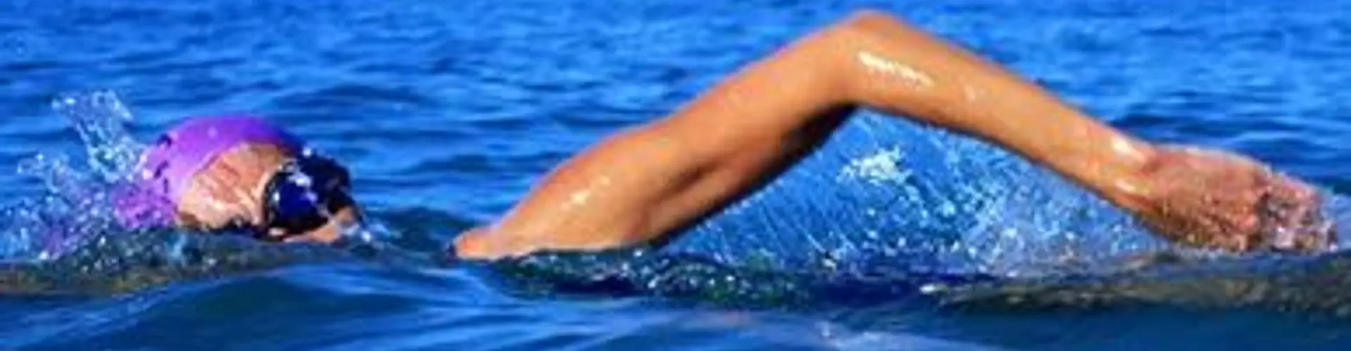 Aqua Seals Swimming Lessons