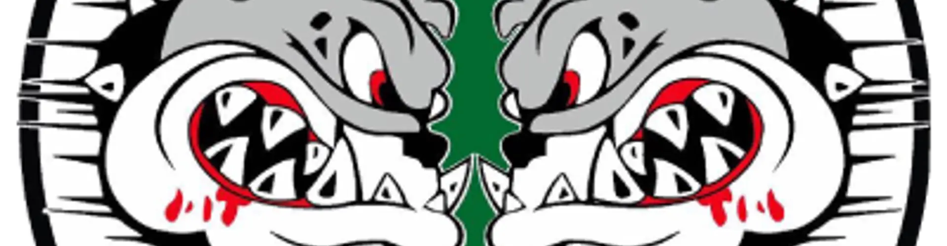 BJJ Lucan / Carlson Gracie Ireland