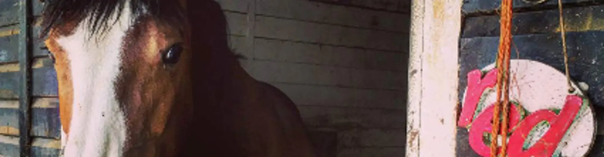 Sandridgebury Livery Stables