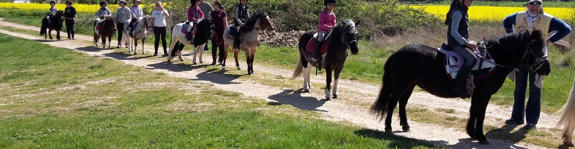 Poney-Club des Crins Fleuris