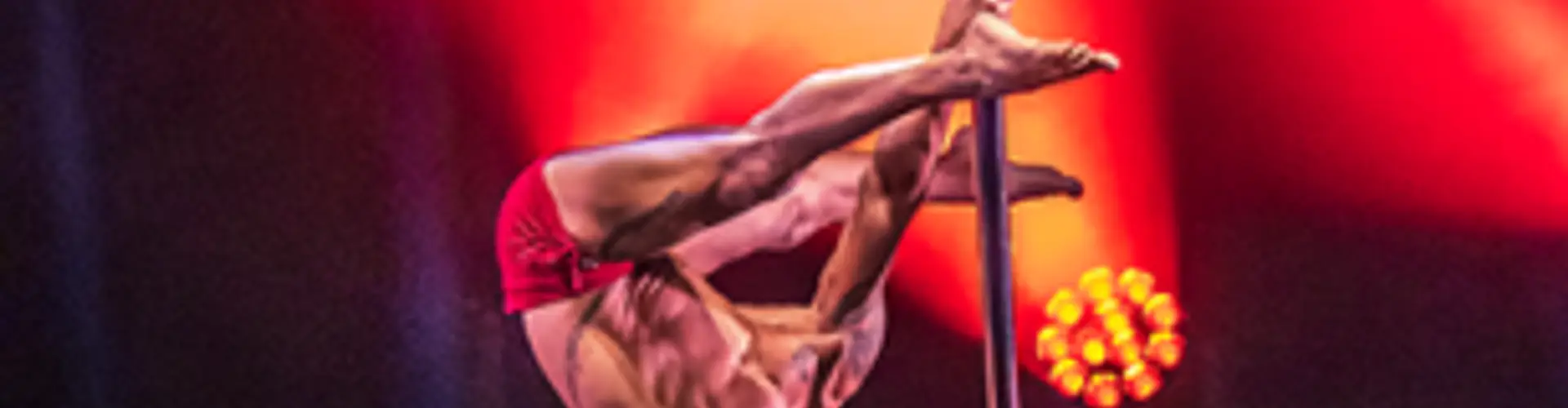 D2m Ragga & Pole Dance