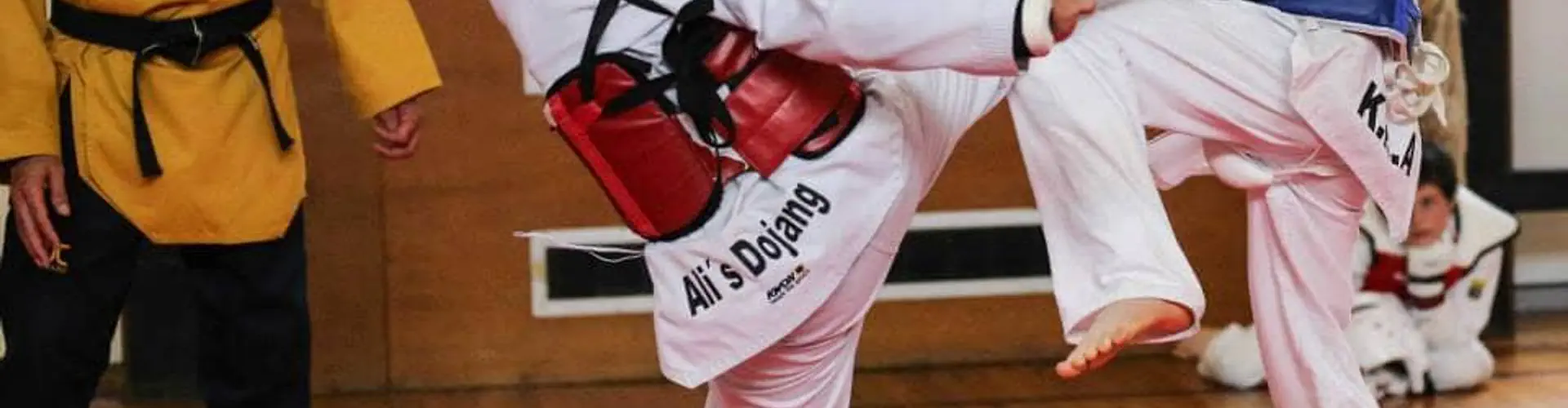 Alis Dojang London Taekwondo Club