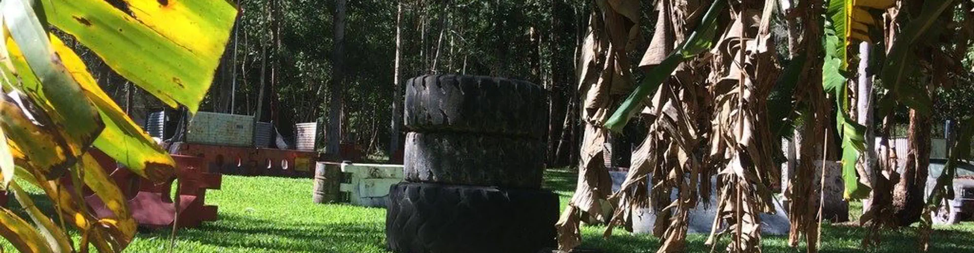 Odyssey Paintball