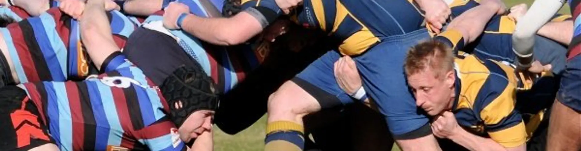 Pegasus Palmerians Rugby Club