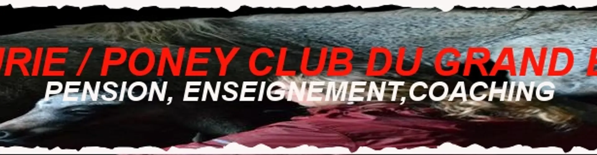 ECURIE PONEY CLUB DU GRAND BOIS