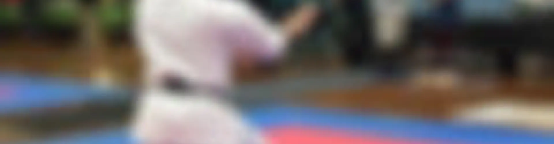 Okinawan Goju-ryu Karate Qld