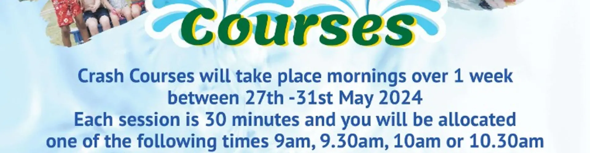 Dolphin Swim School Crash Course