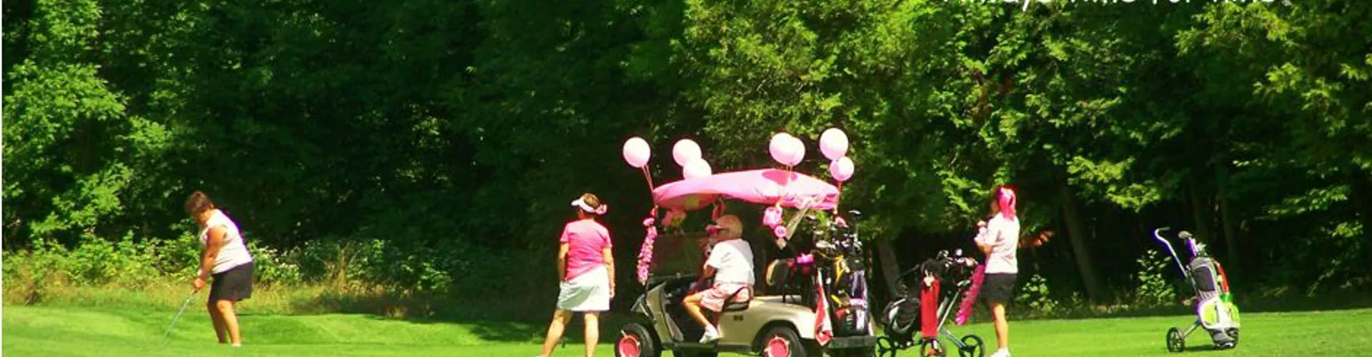 Blue Heron Golf Club