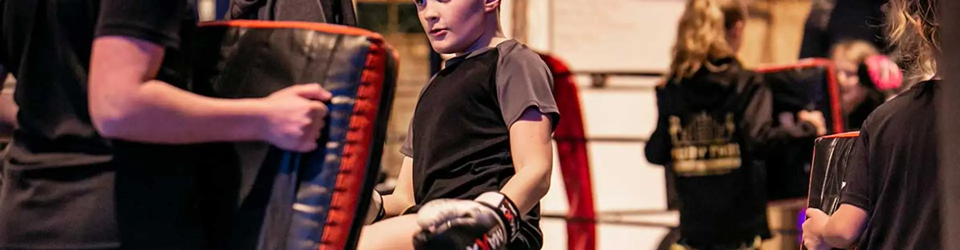Mixed Level Muay Thai Home Gym Classes