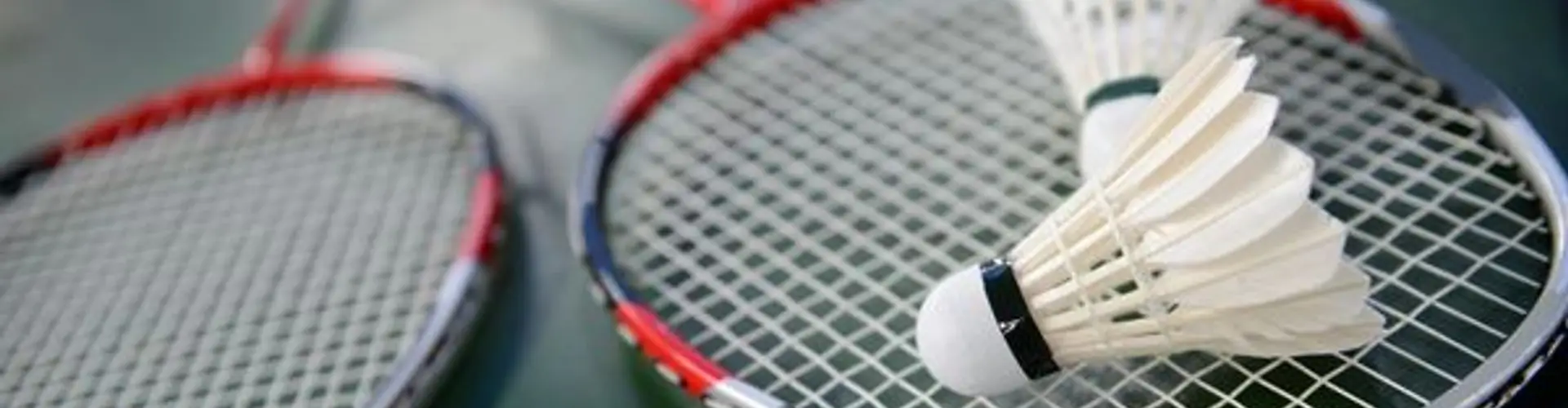 Yadav Pro Badminton Academy at Gokul Sports Arena