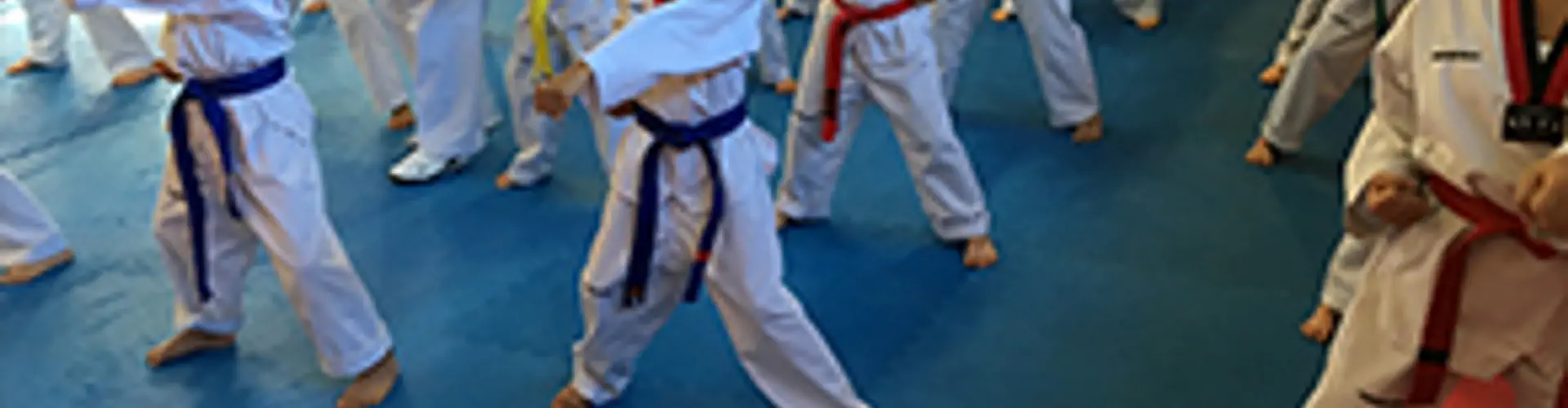 Kang's Taekwondo Lindfield