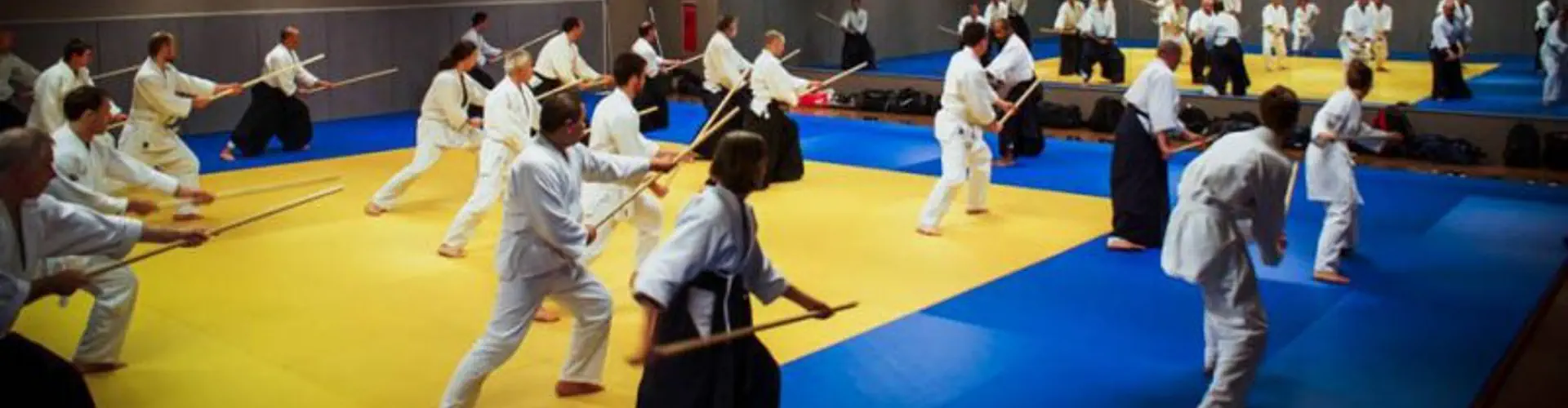 Aikido Club De Sceaux