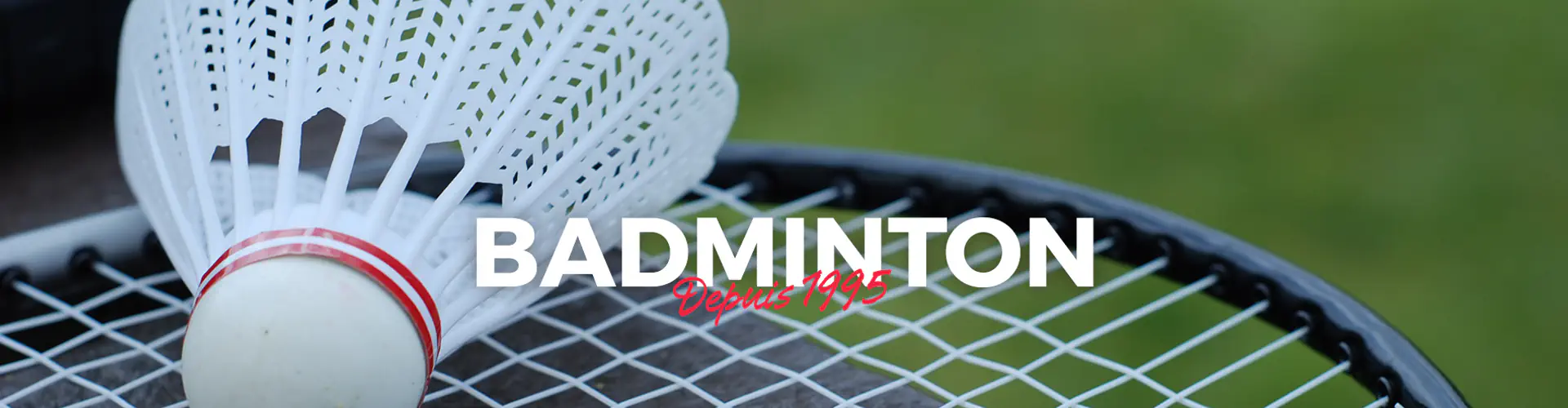 Badminton Lyon Sport Métropole