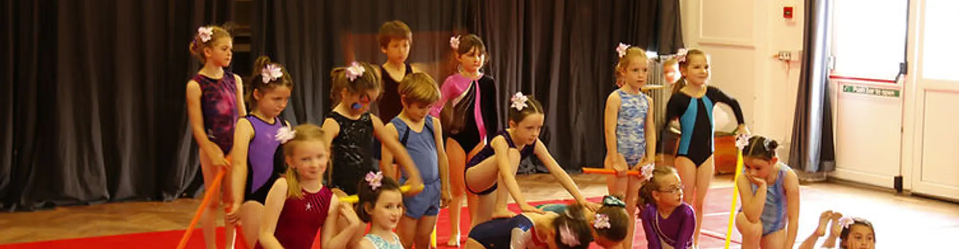 Step It Up Gymnastics Club