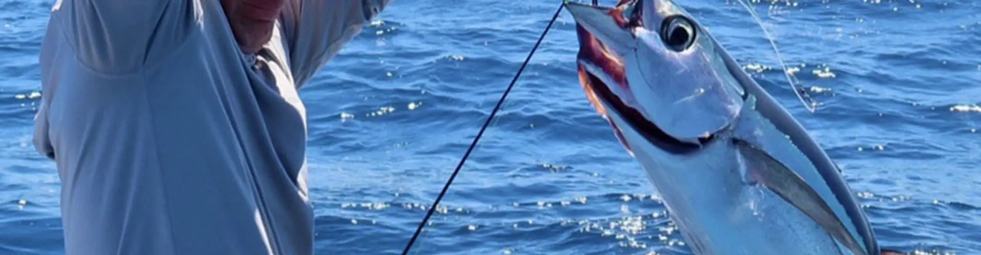 Black Pearl Charters