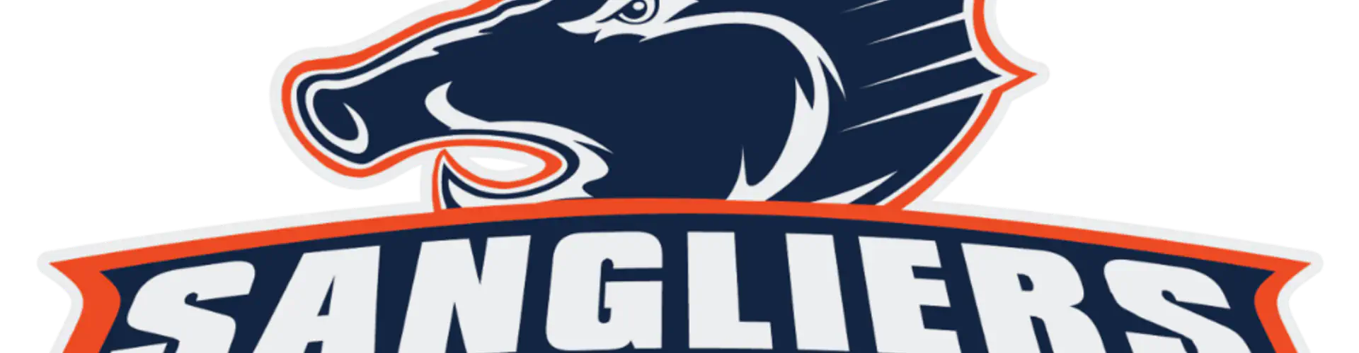 HCCA | Hockey Clermont Communauté Auvergne - Les Sangliers Arvernes