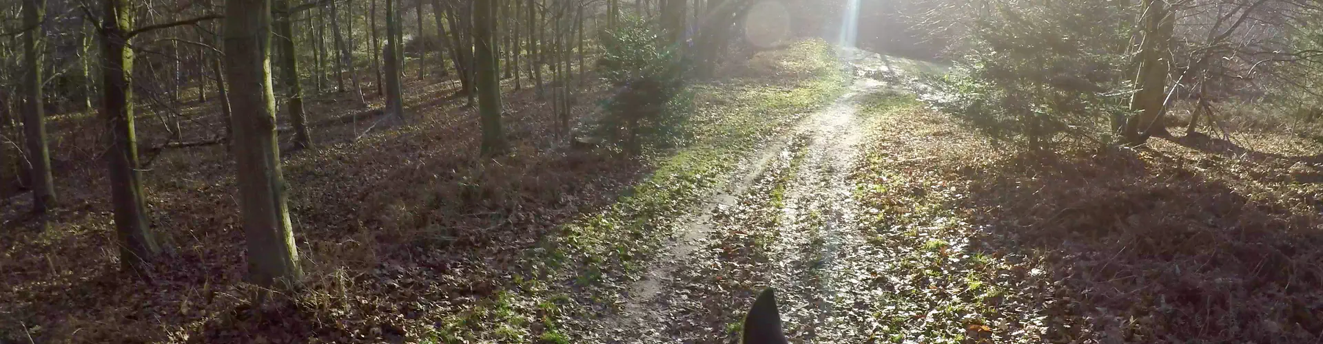 Squirrel Wood Equestrian Centre