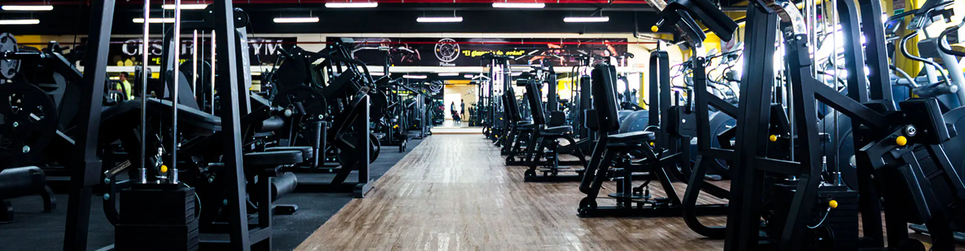 Cesar's Gym Platinum Ojo de Agua