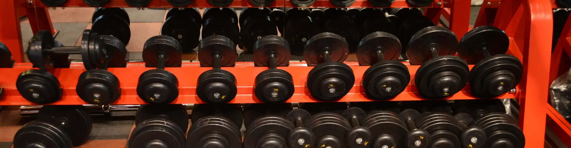 Sansare Fitness