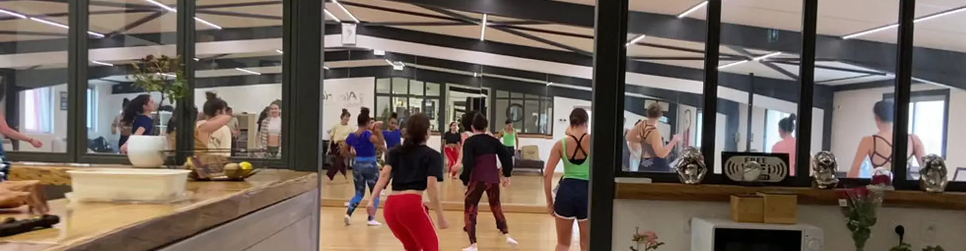 Alegria Dance Company