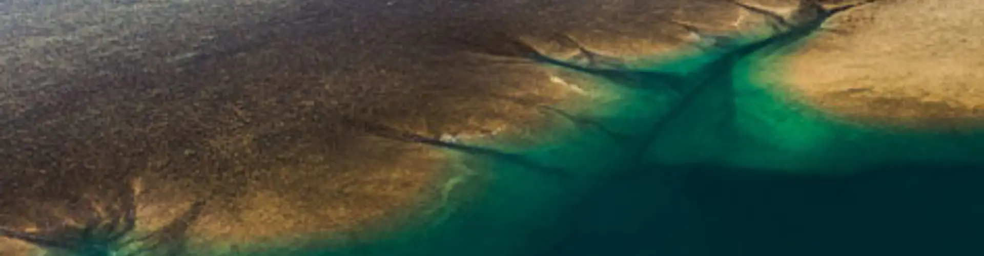 Ocean Dream Charters
