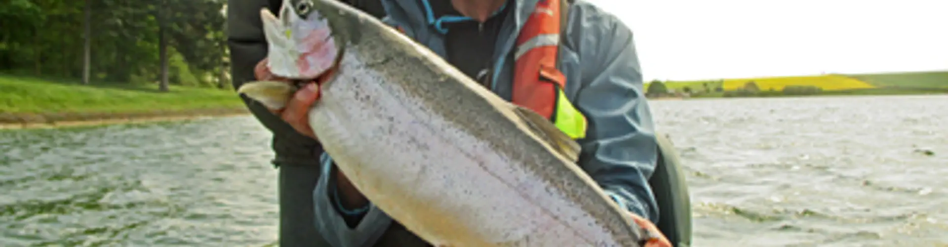 School of Fishing