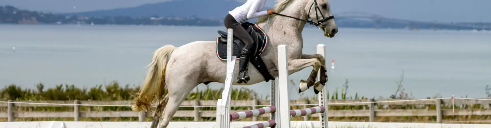 Te Atatu Pony Club
