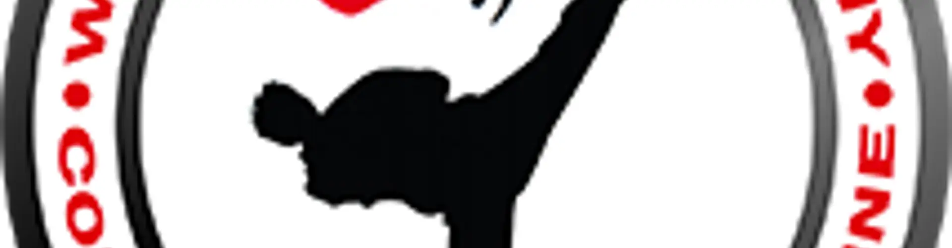 Wu-Yi Taekwondo Academy