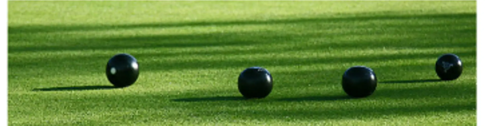 Bowling Green - Eirias Bowling Club