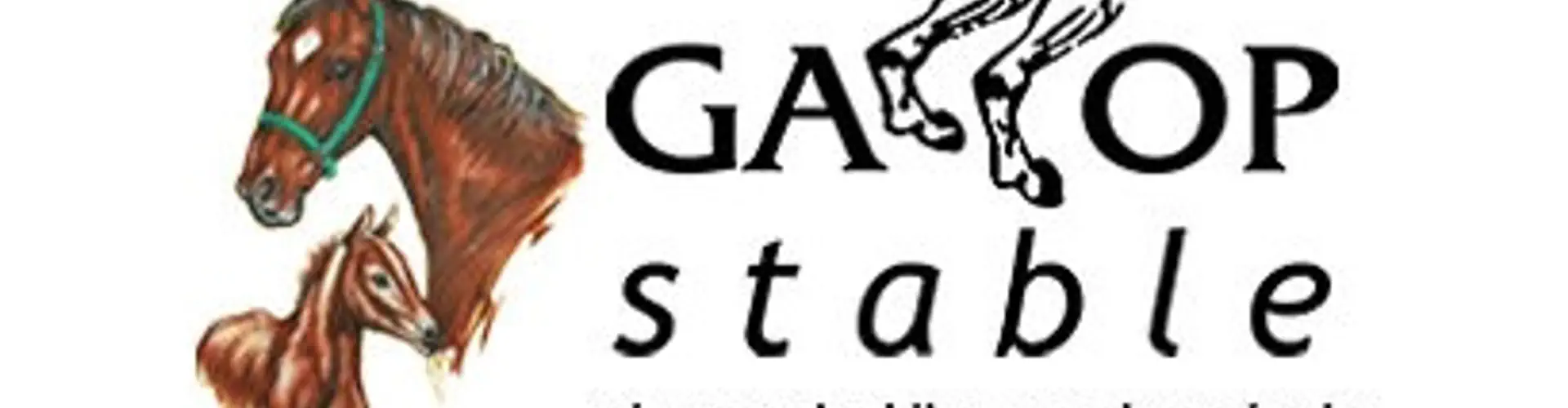 Gallop Stable Singapore