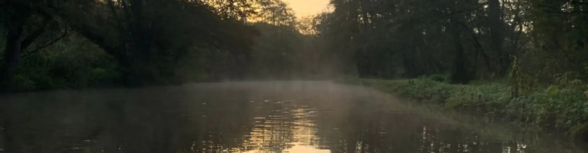 Guildford Rowing Club