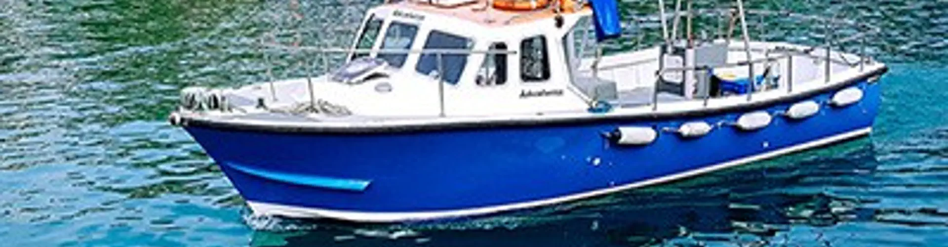 Newquay Sealife Boat & Fishing Trips