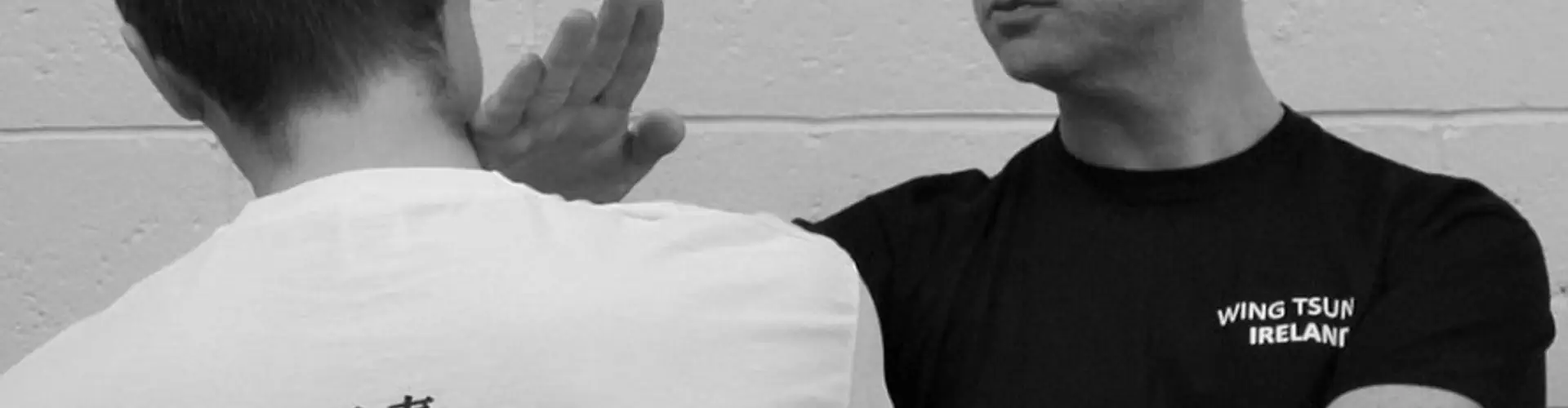 Wing Tsun Kung Fu - Blanchardstown